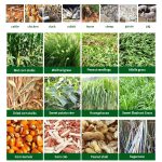 Multi-Functional Chaff Cutter - Image 3