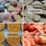 4kg Freeze Dryer - Image 4